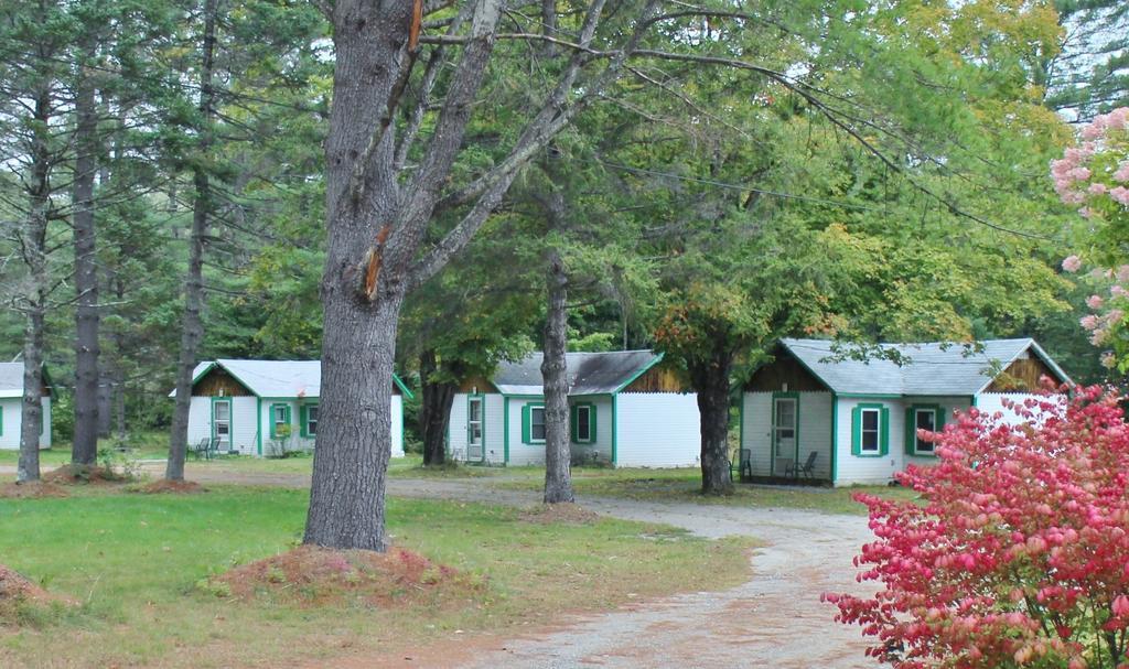 Pine Valley Cabins Thornton Bilik gambar