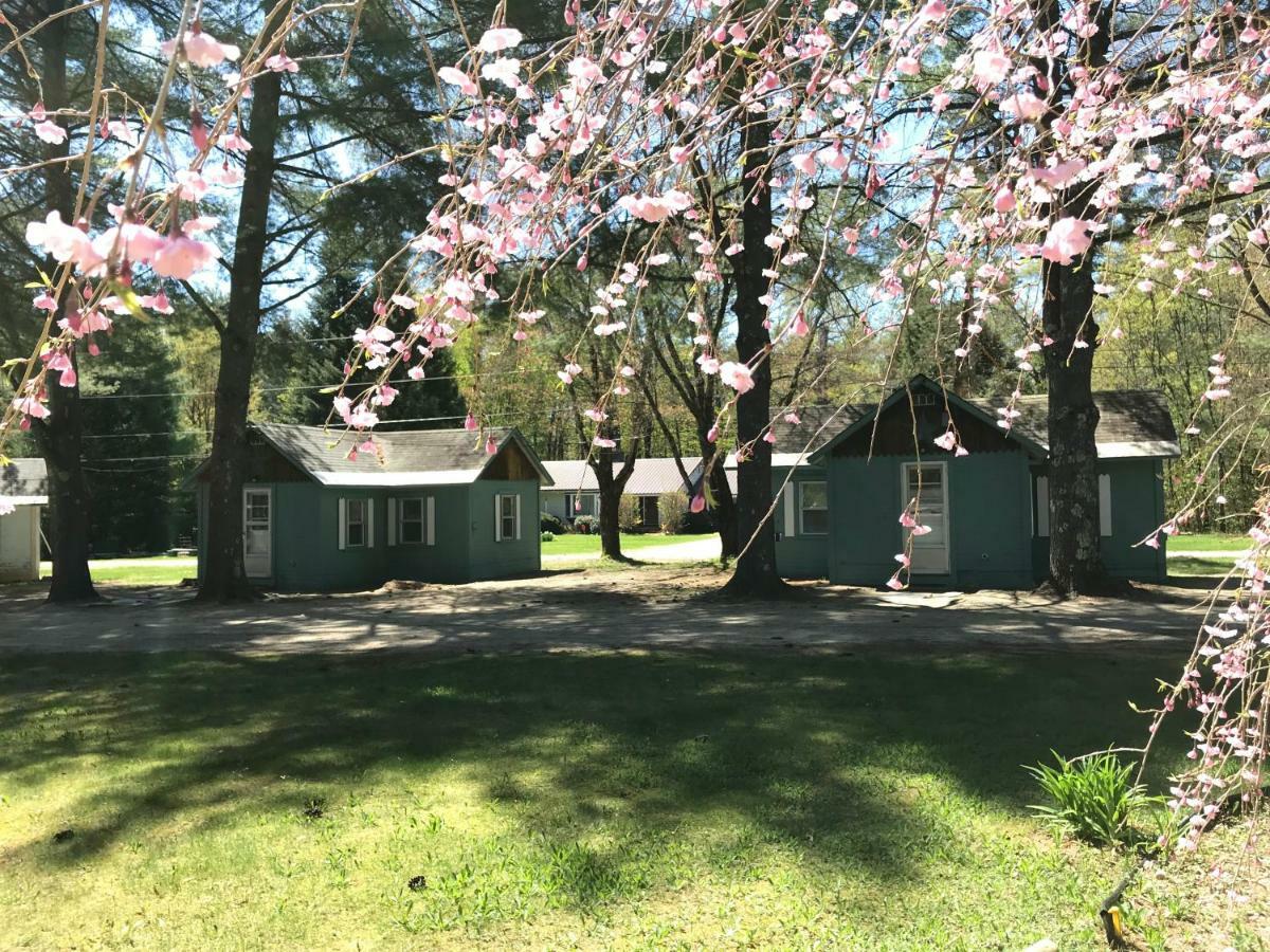 Pine Valley Cabins Thornton Luaran gambar